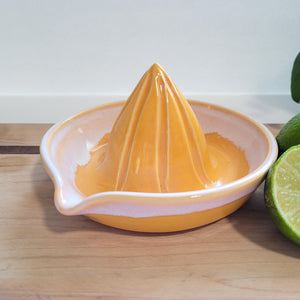 Orange Citrus Juicer